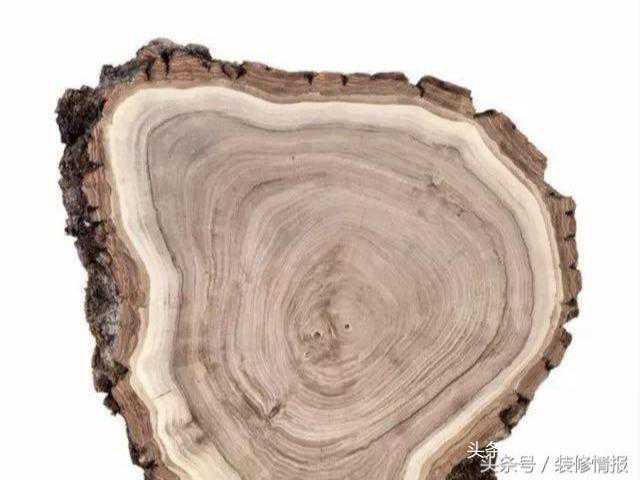 最稳定、材性好，堪称“实木中的绅士与贵族”，你可别被人骗了