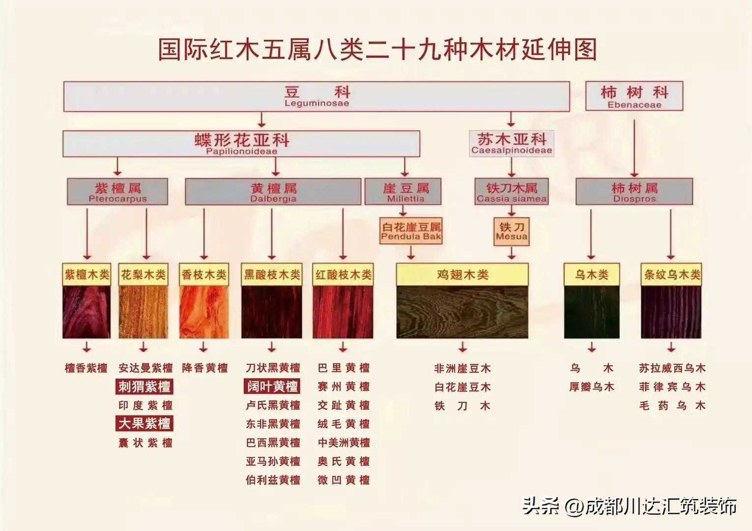 【家具知识】一文看懂国标红木价格排名，拒绝智商税！