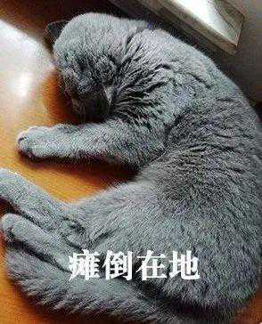 交7万预付款买沙发，家人不满意想退货，商家说特价和定制商品不能退，法院判了