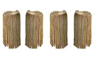 故事：短篇故事：西厢房