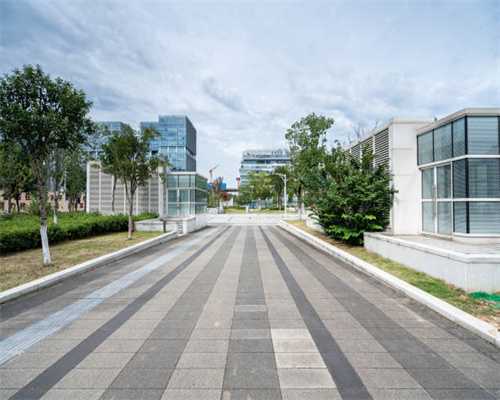 开启澳洲上市之路 临沂两家企业签约