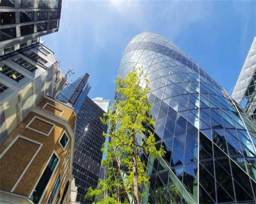 红木家居怎么选？中山举行大会让经销商走进生产基地观看体验