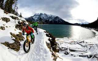 紫檀木收藏：真假辨别、价值评估与保养方法