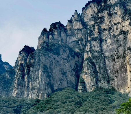 十几款高端客厅屏风，来点高级感的