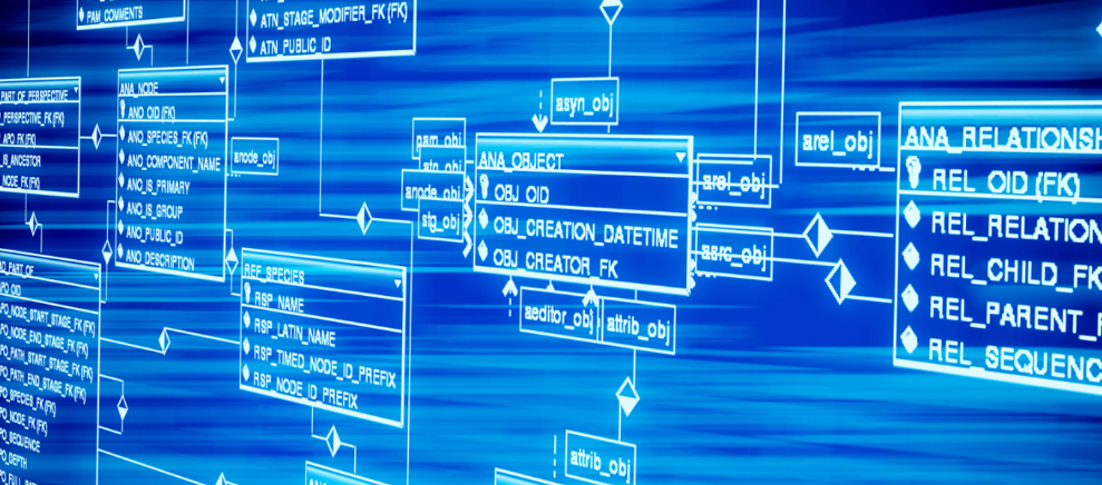 城会玩：今起去正博会逛吃逛吃吧