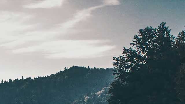 2018西泠印社秋拍启幕 29大专场佳作琳琅满目